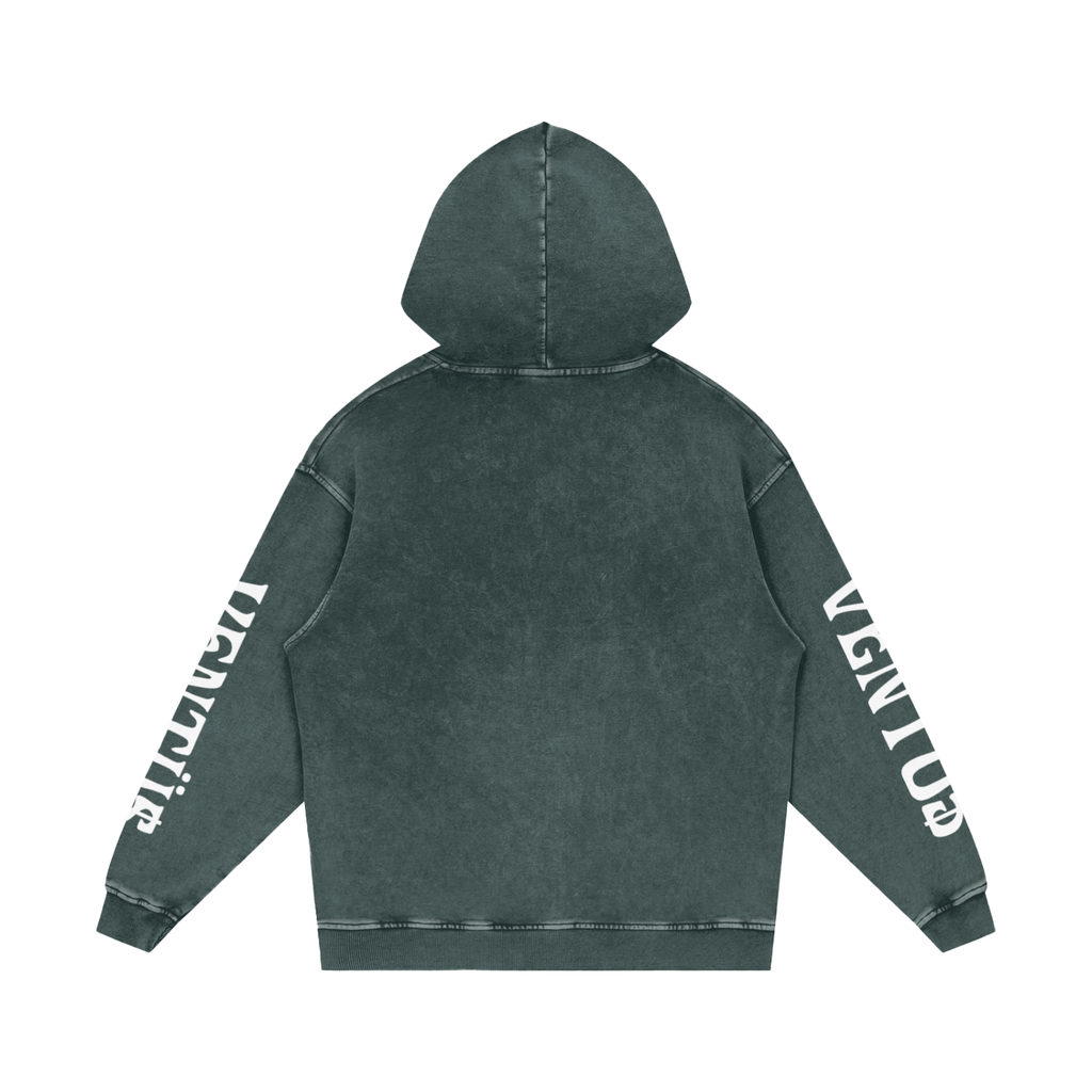 hoodie v2