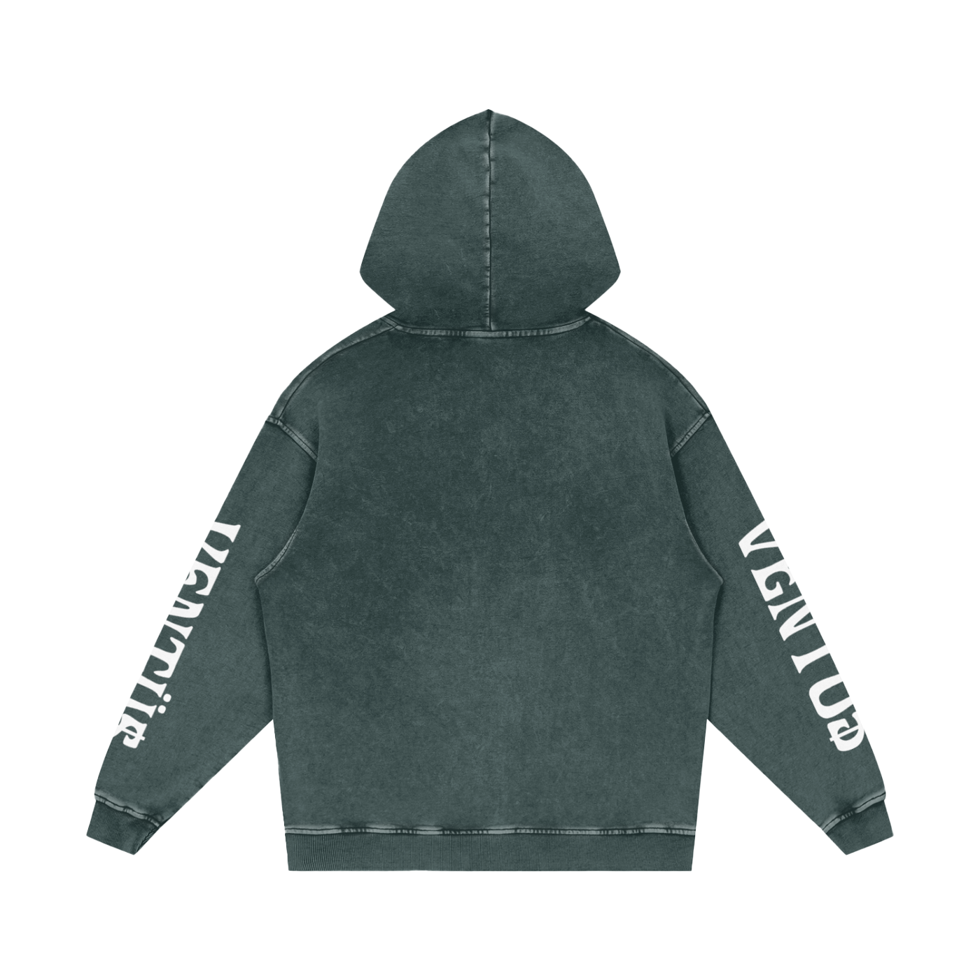 hoodie v2