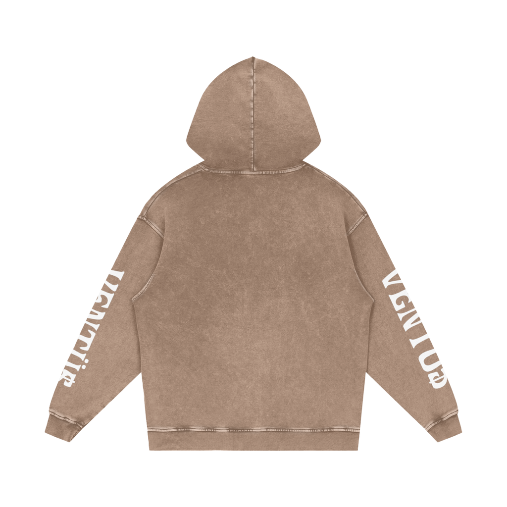 hoodie v2