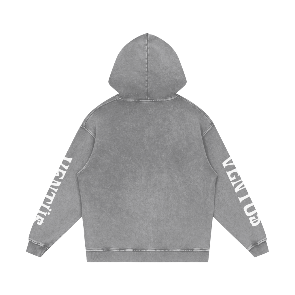 hoodie v2
