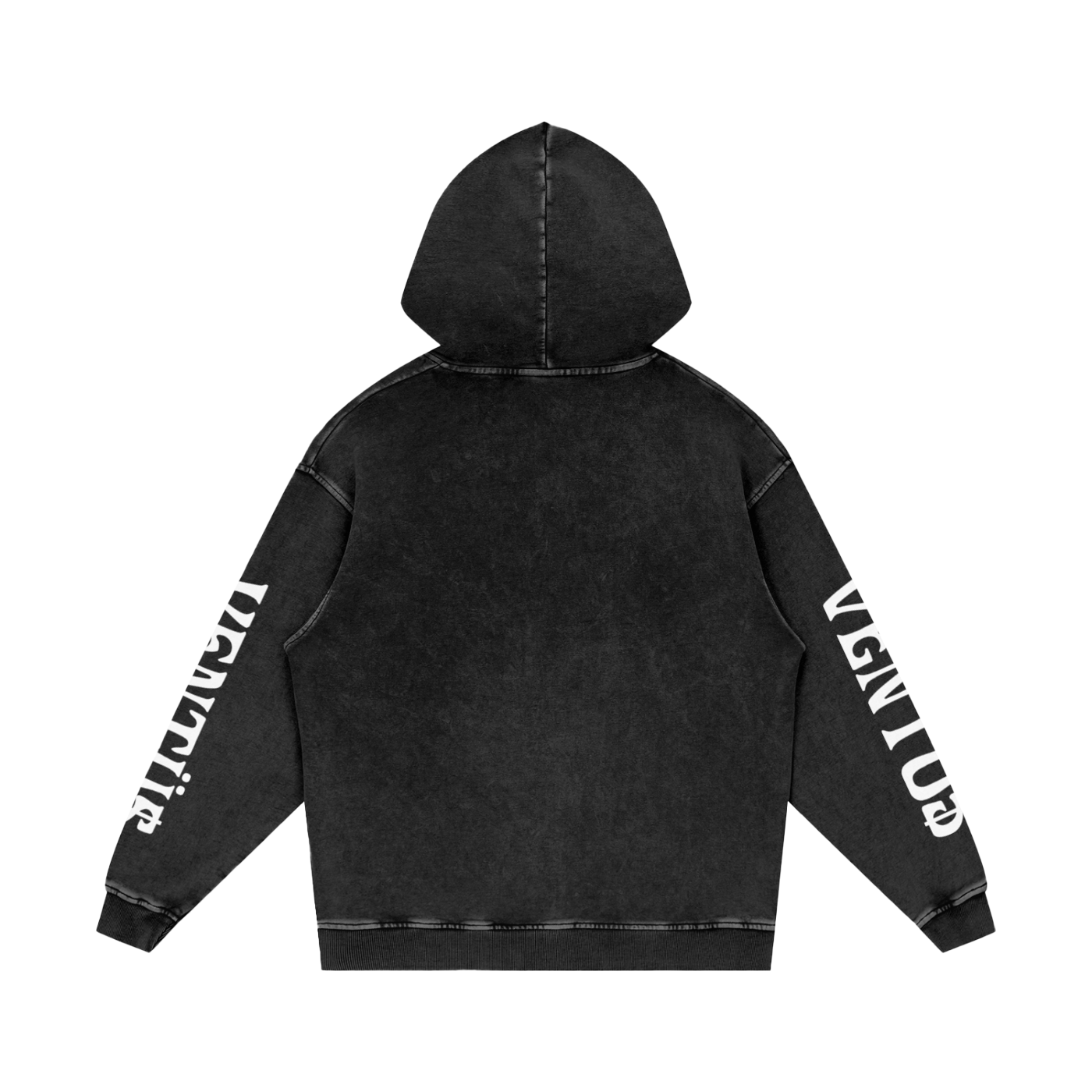 hoodie v2