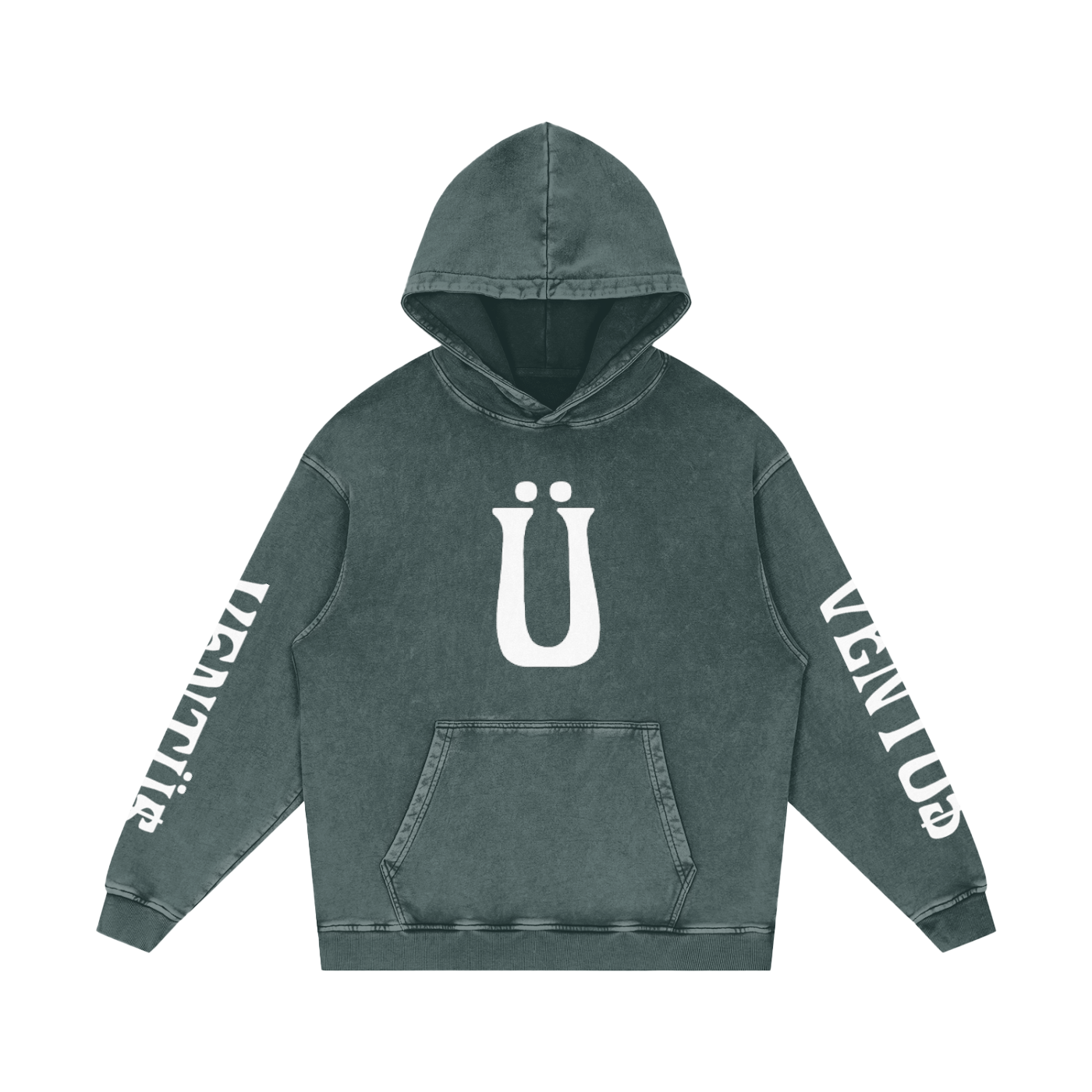 hoodie v2
