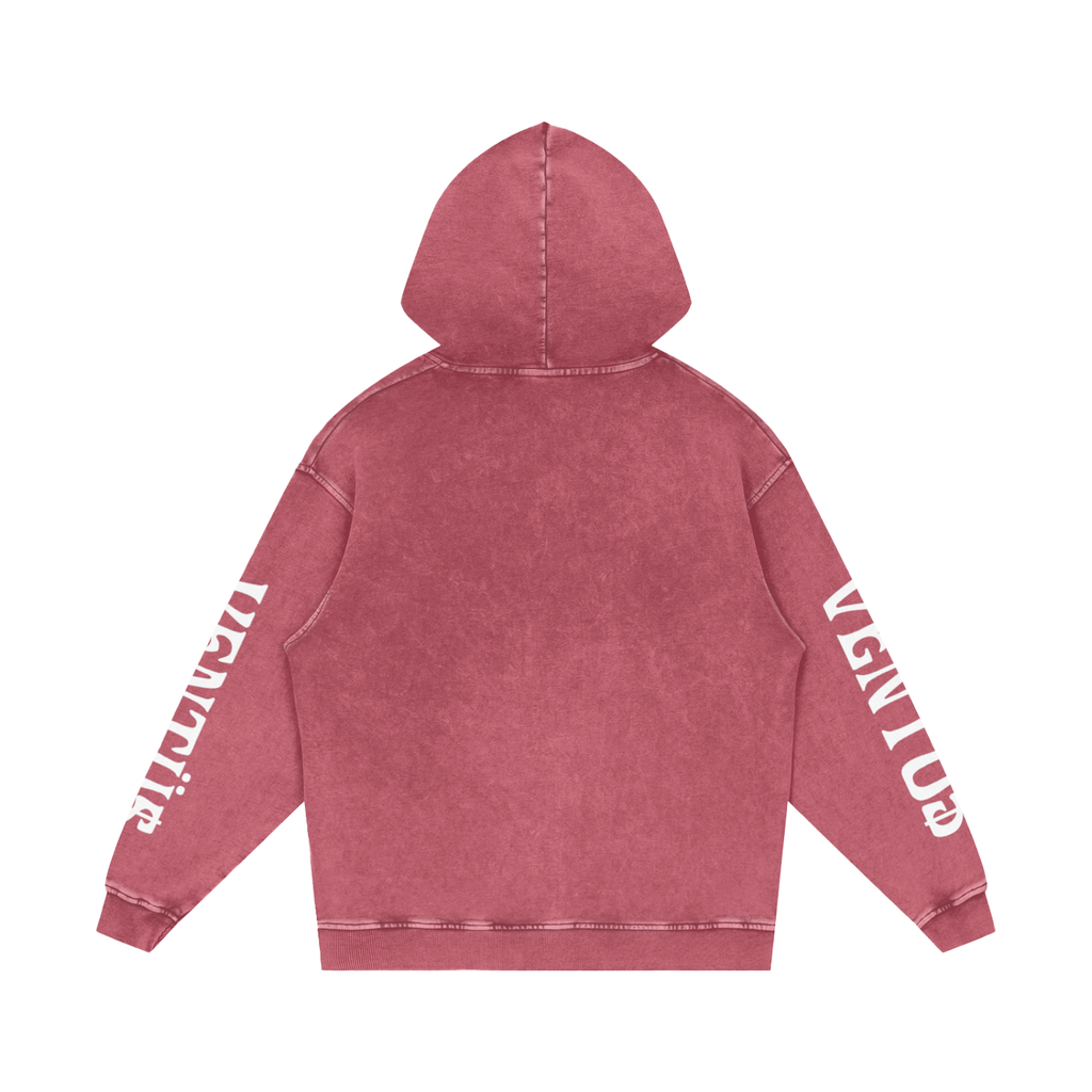 hoodie v2