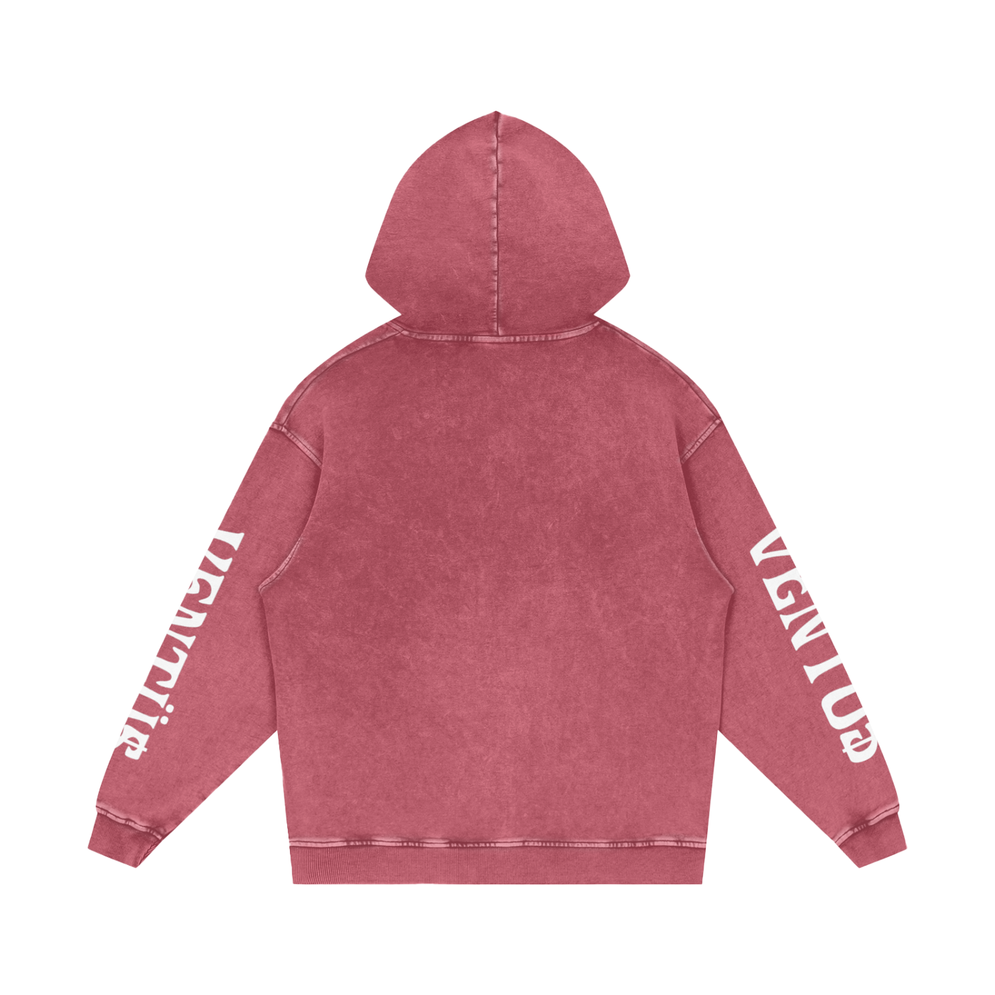 hoodie v2